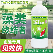 Koi fish pond algaecide to remove moss clean water green algae does not hurt fish Brown cyanobacteria black hair clear water Green