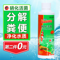 Nitrifying bacteria fish tanks water purification agents fish digestion live bacteria fish supplies purification of water stabilizers nitrifying bacteria