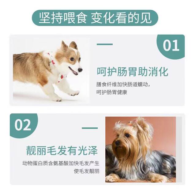 ອາຫານຫມາຊຸດໃຫຍ່ 100 ປອນລາຄາຖືກຈຸດປະສົງທົ່ວໄປຂະຫນາດກາງແລະຂະຫນາດໃຫຍ່ຫມາ golden retriever Labrador pack ເຢຍລະມັນ Shepherd Teddy