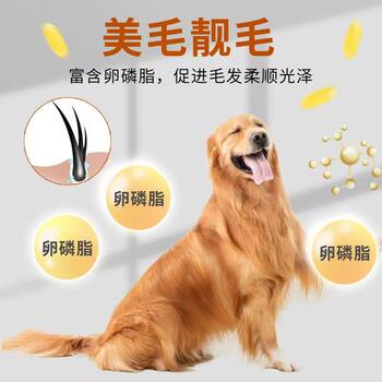 ອາຫານຫມາ ຖົງໃຫຍ່ universal 40 kg 100 kg adult puppy golden retriever bichon native dog 20 kg large dog food large bag