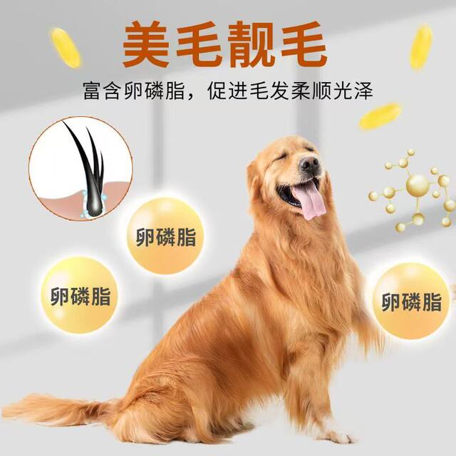 ອາຫານຫມາ ຖົງໃຫຍ່ Universal 40 kg 100 kg adult puppy Golden Retriever Bichon native dog 20 kg large dog food large bag
