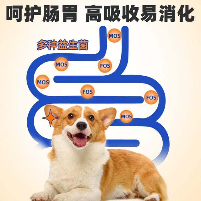 ອາຫານຫມາຊຸດໃຫຍ່ 100 ປອນລາຄາຖືກຈຸດປະສົງທົ່ວໄປຂະຫນາດກາງແລະຂະຫນາດໃຫຍ່ຫມາ golden retriever Labrador pack ເຢຍລະມັນ Shepherd Teddy