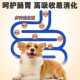ອາຫານຫມາຊຸດໃຫຍ່ 100 ປອນລາຄາຖືກຈຸດປະສົງທົ່ວໄປຂະຫນາດກາງແລະຂະຫນາດໃຫຍ່ຫມາ golden retriever Labrador pack ເຢຍລະມັນ Shepherd Teddy