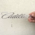 tem xe oto dep Thích hợp cho logo trước và sau xe Cadillac mới và cũ SRX ATS XTS logo xe hơi lúa mì cành âm thanh nổi 3D lô gô các hãng xe oto logo các hãng ô tô 