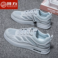 Advanced Grey Single Network