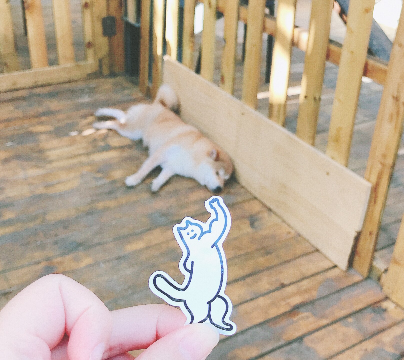 what cccat what cat original sticker profiled interesting hand ledger computer decorate mobile phone to protect shell diy adhesive