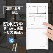 Bath Bullies Five Open Switch 86 Type Universal Clamshell Washroom Waterproof Panel Bathroom 16A Wind-warm Five-in-5