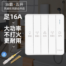 Bath Bully Switch Five Open 86 Type Universal Home Toilet Large Board Waterproof Panel Five All-in-one Warm Air Blower Switch