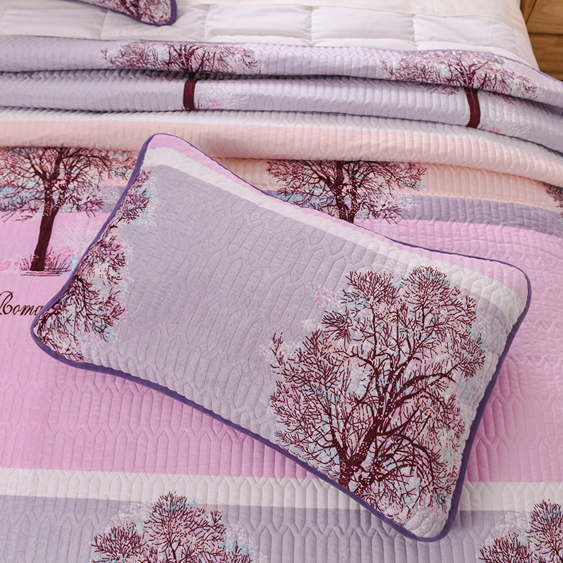 Lannafi AB phiên bản trải giường A nhung pha lê B cotton ba mảnh set 1,5m ấm áp mùa đông trải giường 0,9m bộ ga giường đẹp