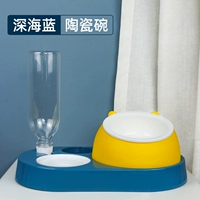 [Модель 3] 3 Функция 1-керамические модели ◆ Синий (все они)