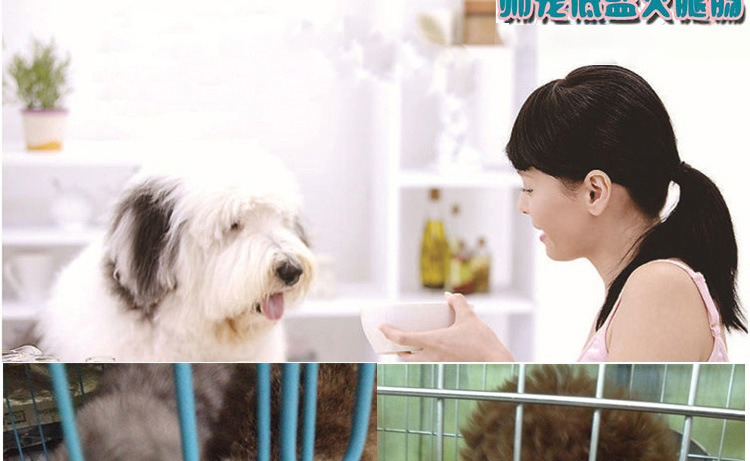 Dog ham xúc xích 15 gam * 20 pet dog xúc xích thịt bò hương vị dog snack đào tạo thưởng thức chó đồ ăn nhẹ hạt thức ăn cho chó