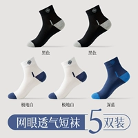 【5 двойной мгновенный】 черный 2+ Polar White 2+ Deep Blue