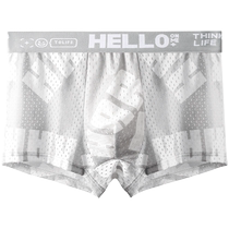 Mens underwear boys ice mesh antibacterial boxer briefs summer thin breathable youth boxer shorts