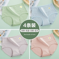 Светло -зеленый+светло -голубой+светло -фиолетовый+бобовая паста