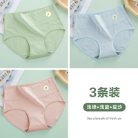 3-световой синий+светло-зеленый+паста из бобов