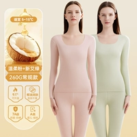 Нежный порошок + новый AI Green - 2 Set