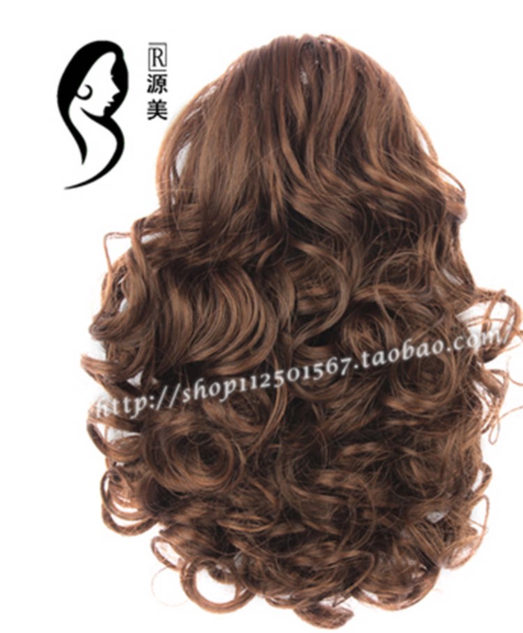 Extension cheveux - Chignon - Ref 237995 Image 7