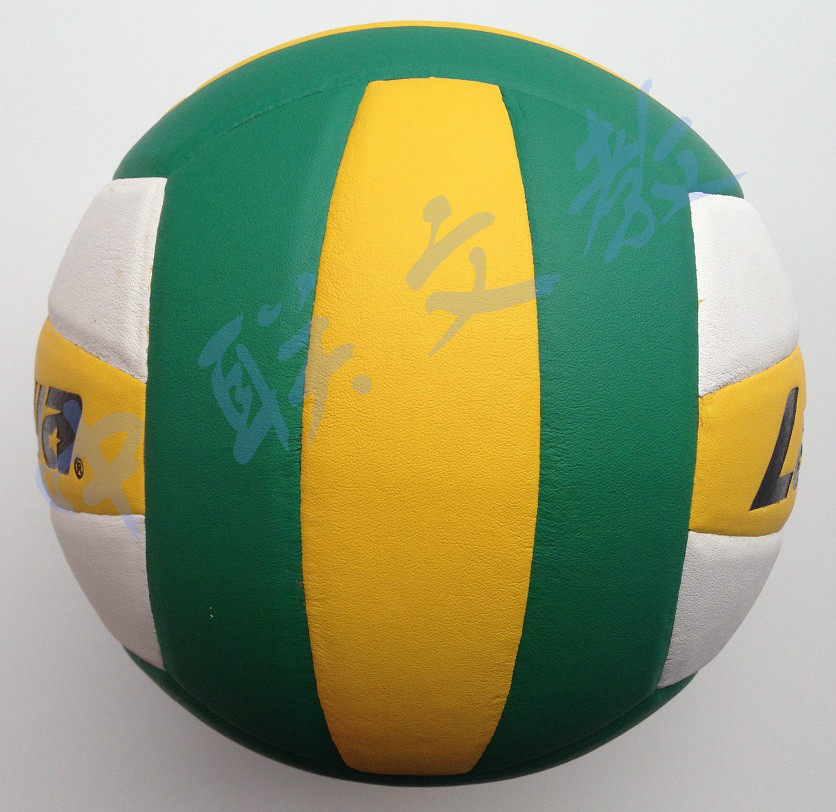 Ballon de volley - Ref 2016049 Image 11
