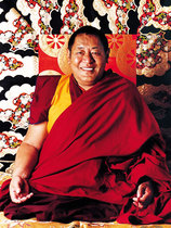 Custom-made portrait of King Ruyi Treasure Photo paper plastic seal Tibetan Tantric King Jinmei Phuntsuo