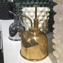 Danish H Brass Spray Water Jug Mini Spray Pot Delicate Watering Pot Photography Swing Piece Home Multi-Meat Spray Pot