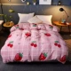 Coral chăn dày đứng về phía pháp luật đơn mảnh nhung Levin đặt flannel 1,5 / 1,8 m đơn hoặc kép giường 200x230 - Quilt Covers chăn giá rẻ