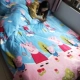 Coral chăn dày đứng về phía pháp luật đơn mảnh nhung Levin đặt flannel 1,5 / 1,8 m đơn hoặc kép giường 200x230 - Quilt Covers chăn giá rẻ