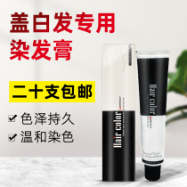 Hair Salon Hair Salon Hair Salon Special Plant Cover White Hair Color Pop Color Pop Single Only Faded Hair Dye Hair Dye