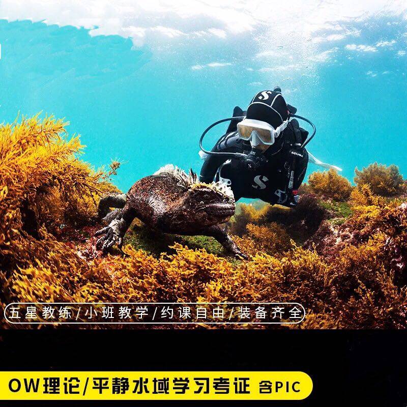 Tianjin Heilan Diving PADI OW Theory plus Calm Water Learning Examination (including PIC) and specialty courses