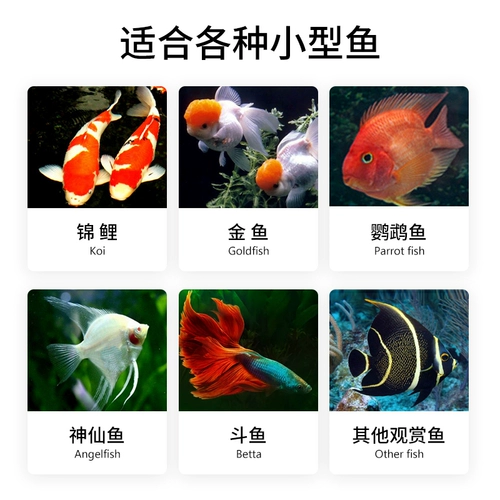 Рыба рыба koi питает специальную плавучую рыбную корм