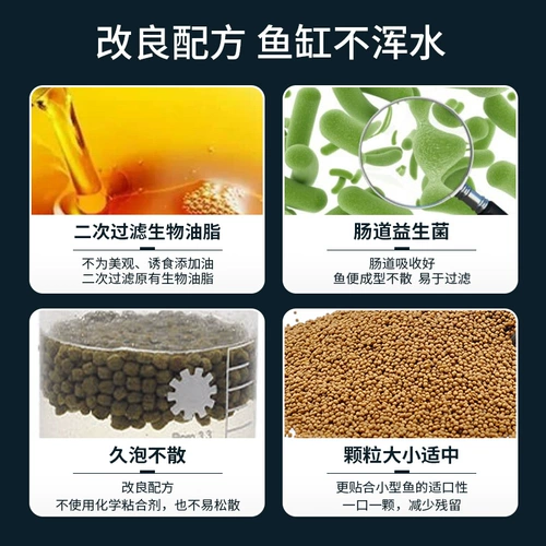 Рыба рыба koi питает специальную плавучую рыбную корм