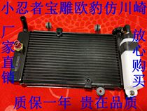 Battle Peregrine Petty Ninja Motorcycle Elegant Water Tank Fan Perpetual Source Radiator Lord Wind Water Cooled Horizon 350