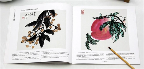 Китайский класс от руки «Овощи и фрукты» Издательство «Изобразительное искусство Ляонин» Свободное рисование цветов и птиц Основные техники рисования овощей и фруктов Анализ этапов рисования Учебники по рисованию от руки Копирование образцов Портфолио Оригинальные продукты