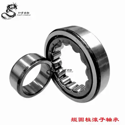 TMB Tianma NU204 205 206 207 208 209 210 216 305E Cylindrical roller Bearing