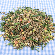 Colorful rabbit grain 5kg young rabbit pet rabbit grain lob rabbit Dutch pig guinea pig feed live rabbit grain 10