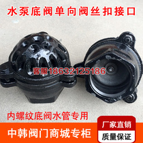 New product H12X10 internal thread check valve cast iron water suction valve pump DN40 50 65 80 100 products