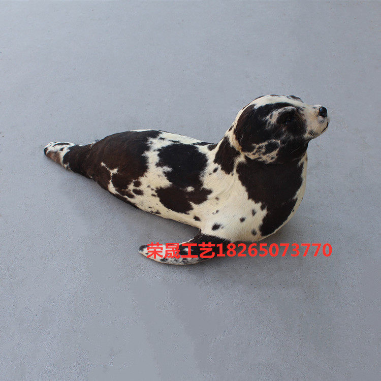 Simulation Seal Model Marine Animal Specimen Static Display Pendulum Leather Fur Animal Craft Gift Hem Accessories Exhibition Hall Props
