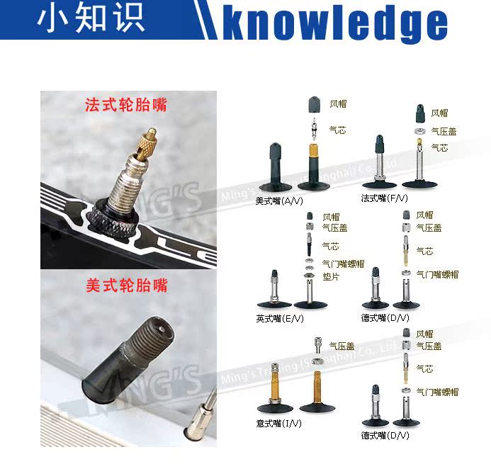 Pompe à vélo BETO - Ref 2396595 Image 20