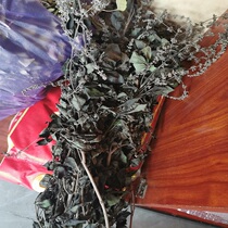 Dragon Boat Festival Putian Five-Day Festival Bathing with Vanilla Wedding Ginger Vanilla Confinement Grass Family Bath with Dark Fragrance