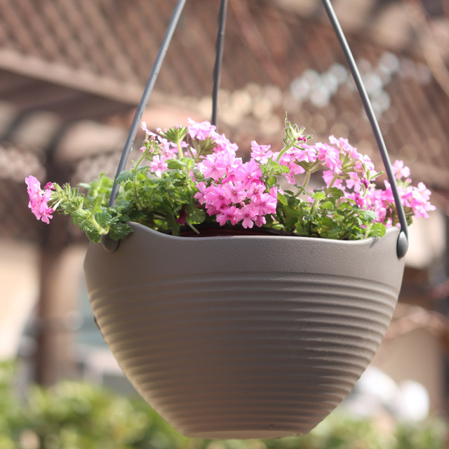 Alice thickened resin pot hanging potted green radish plastic hanging orchid flower pot No. 6/7/8 balcony hanging pot