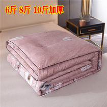 Winter quilt thickened warm 6 8 10 pounds double spring and Autumn quilt single student dormitory quilt air conditioning quilt quilt core