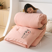 Soybean Fiber Quilt Winter Quilt All Season Universal Spring Autumn Quilt Core Dormitory Single Student Cotton Quilt Thickened Warm Bedding