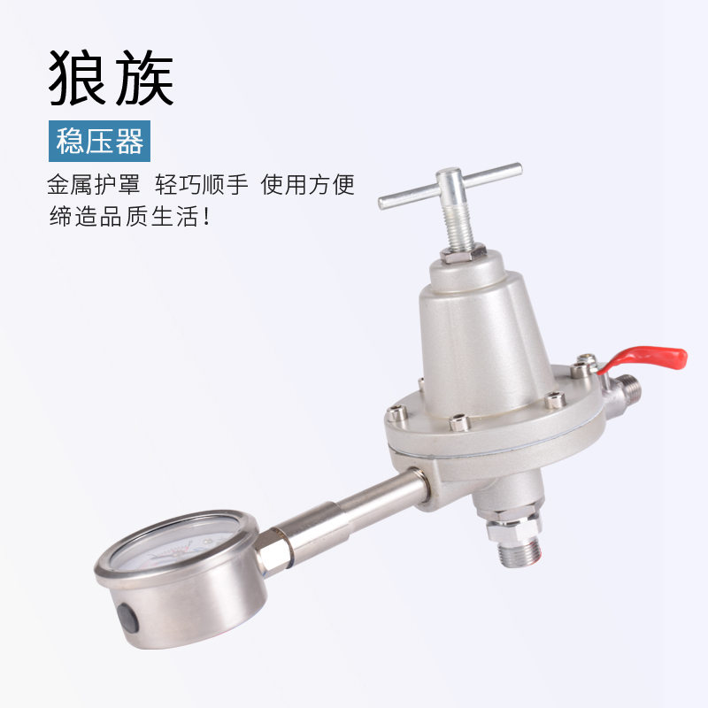 Hydraulic large flow paint Paint Pressure valve 3 8 Pneumatic diaphragm pumps pneumatically diaphragm flow manoeuver