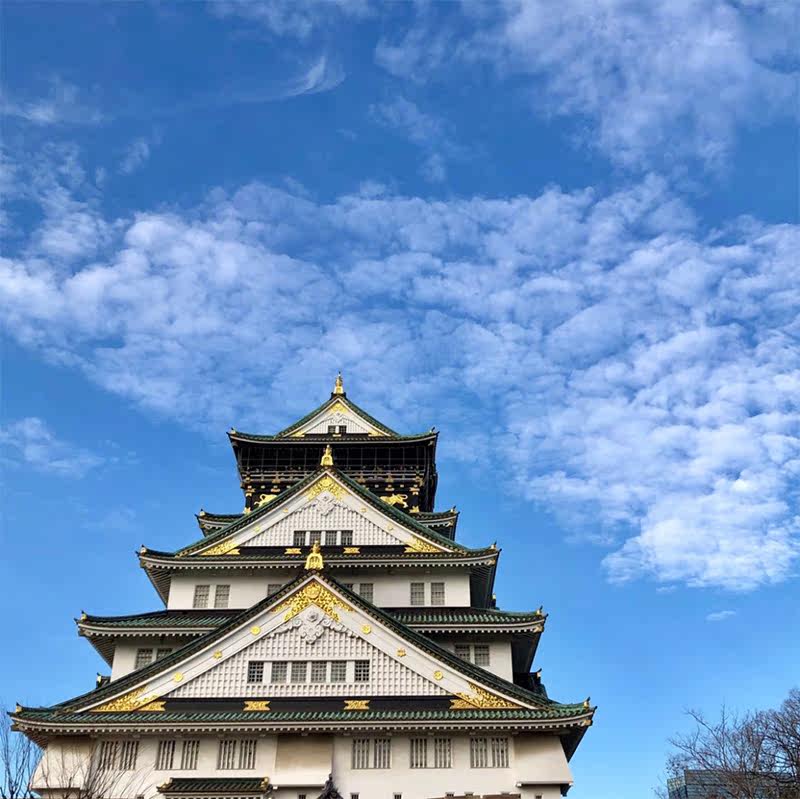 定製旅行日本九州之旅熊本城阿蘇山火山別府地獄溫泉福岡