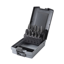 Shida 10-piece double-tooth carbide rotary file set 53706