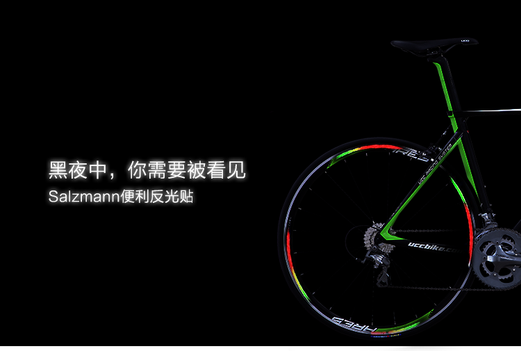 Autocollant pour vélo SALZMANN - Ref 2293909 Image 3