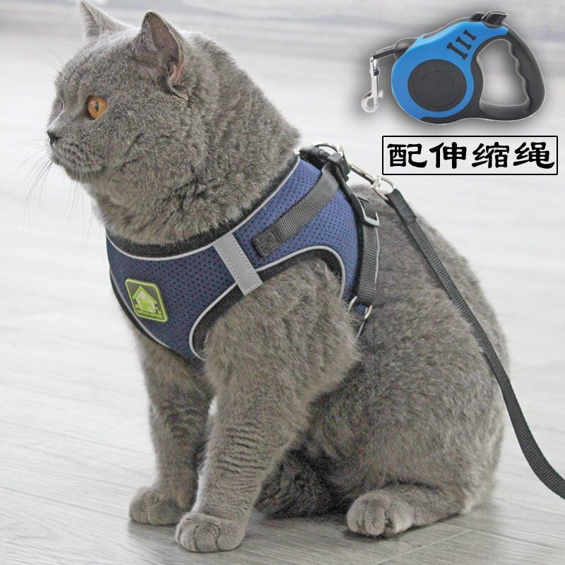 Adjustable Retractable Breathable Cat Leash Harness with Reflective Straps for Kittens and Small Pets