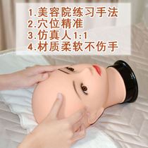 Dummy model head model skin management Face acupuncture points learning hands beauty salon Bald massage basic exercises