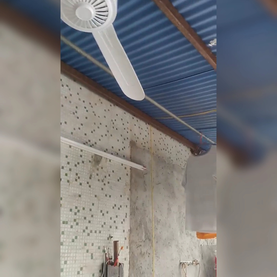 厂家直销1200三叶吊扇、节可够恒速大风力、客厅餐厅必备神器