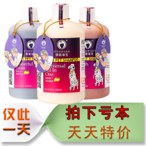 Event N Ferrets Dogs Body Wash of Shampoo Dermatology Snow Sculpture more than Bear Teddy Farce Red Brown White Hair