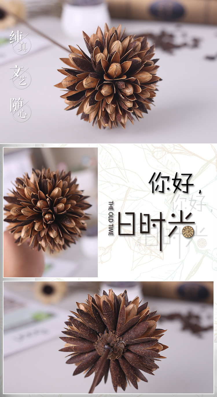 玉兰花球玉兰干花摄影道具家居软装饰艺术组合绣球花特价包邮 上新热销 玉兰 玉兰花 组合 干花 家居途虎网